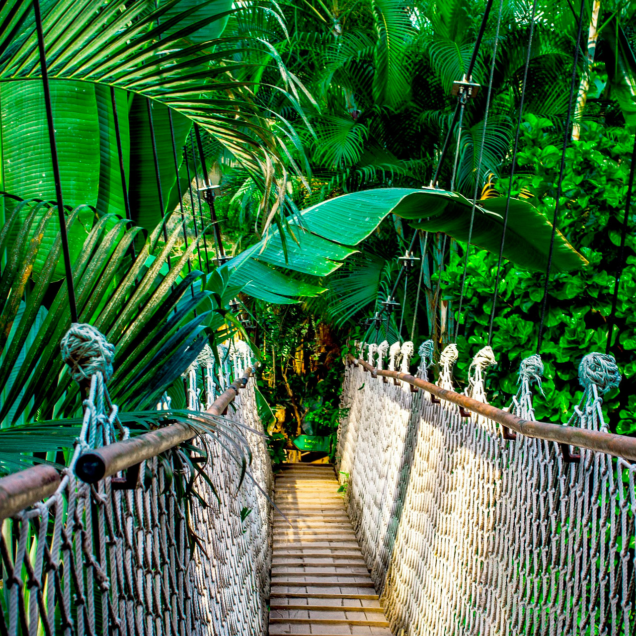 Amazonas