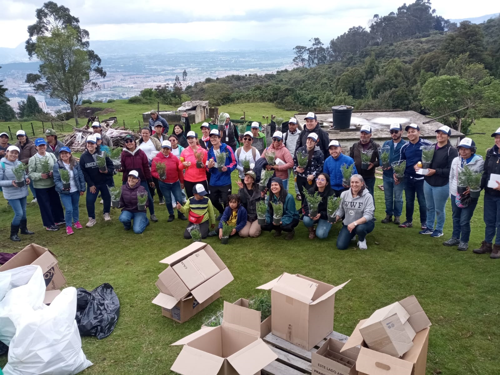 Servicios de Logistíca