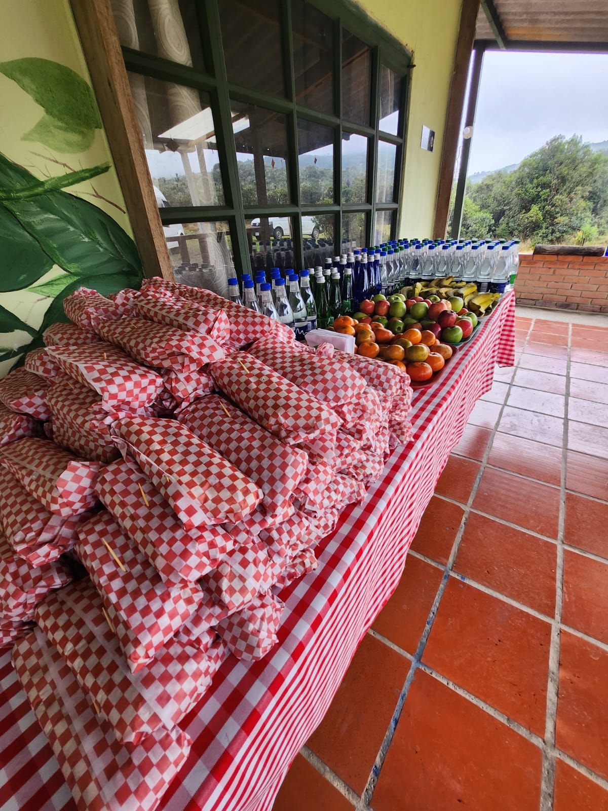Servicios de Logistíca